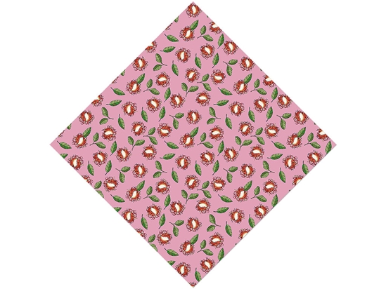 Princess Caroline Fruit Vinyl Wrap Pattern