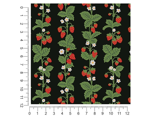 Fields Forever Fruit 1ft x 1ft Craft Sheets
