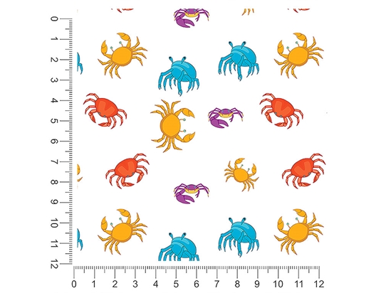 Rainbow Crayfish Salt Water 1ft x 1ft Craft Sheets