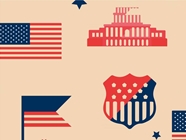 National Capital Americana Vinyl Wrap Pattern