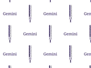 Gemini Swords Astrology Vinyl Wrap Pattern