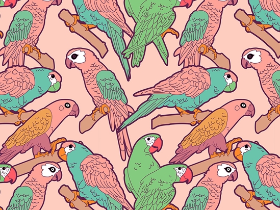 kanal Snestorm krave Rwraps™ Pretty Bird Parrot Vinyl Wrap | Birds Print Car Wrap Film