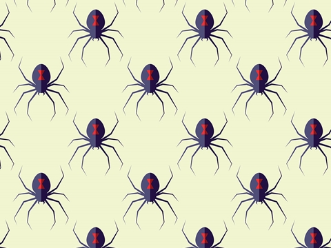 Rwraps™ Spider Print Vinyl Wrap Film - Blackest Widows