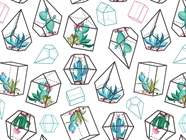 Terrarium Living Cacti Vinyl Wrap Pattern