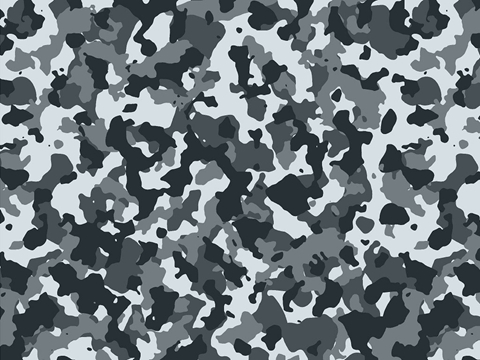 Rwraps™ Arctic Camouflage Print Vinyl Wrap Film - Powder Flecktarn
