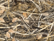 Obliteration Tallgrass Camouflage Vinyl Wrap Pattern