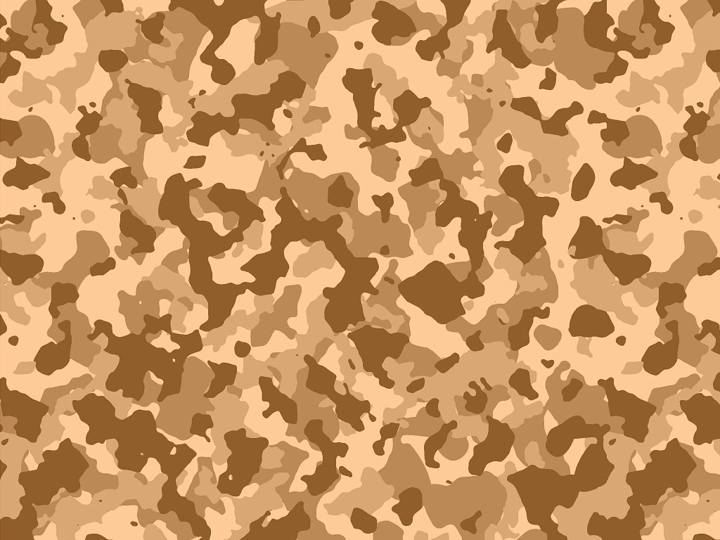 Rwraps™ Desert Camouflage Print Vinyl Wrap Film - Coastal Flecktarn