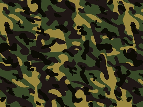 Rwraps™ Green Camouflage Print Vinyl Wrap Film - Army Flecktarn