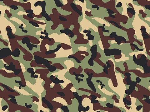 Rwraps™ Green Camouflage Print Vinyl Wrap Film - Basin Beige