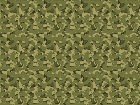 Rwraps™ Green Camouflage Print Vinyl Wrap Film - Flecktarn Bush