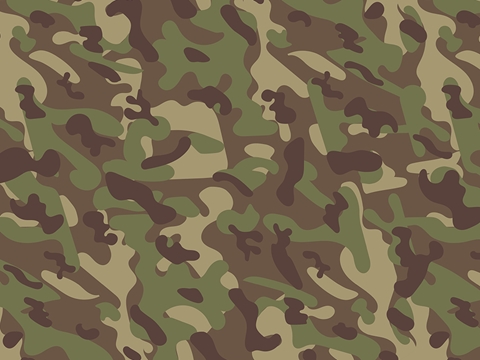Rwraps™ Green Camouflage Print Vinyl Wrap Film - Forest Beige