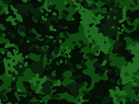 Rwraps™ Neon Camouflage Print Vinyl Wrap Film - Forest Flecktarn