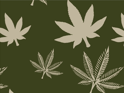 Rwraps™ Cannabis Print Vinyl Wrap Film - Cool Cannabanoid