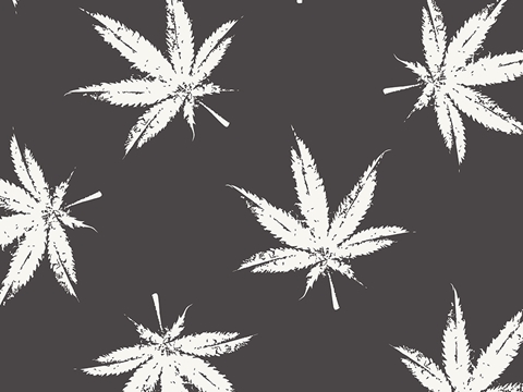 Rwraps™ Cannabis Print Vinyl Wrap Film - Smooth Ganja