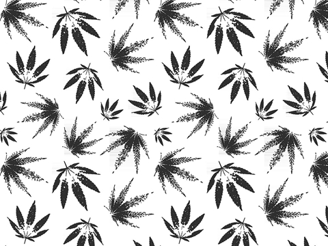 Rwraps™ Cannabis Print Vinyl Wrap Film - Toke Up