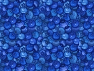 Beautiful Bluecrop Fruit Vinyl Wrap Pattern