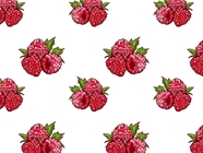 Ruby Beauty Fruit Vinyl Wrap Pattern