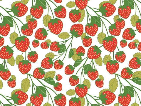 Rwraps™ Strawberry Print Vinyl Wrap Film - On the Bush