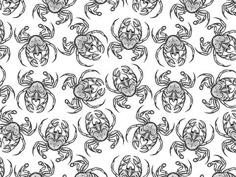 Rwraps™ Crustacean Print Vinyl Wrap Film - Crabby Mood
