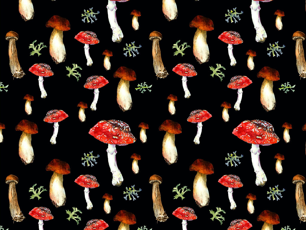 Nighttime Fungus Mushroom Vinyl Wrap Pattern