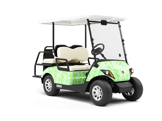 Money Mile Paint Splatter Wrapped Golf Cart