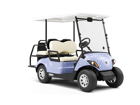 Light Blue Polka Dot Wrapped Golf Cart