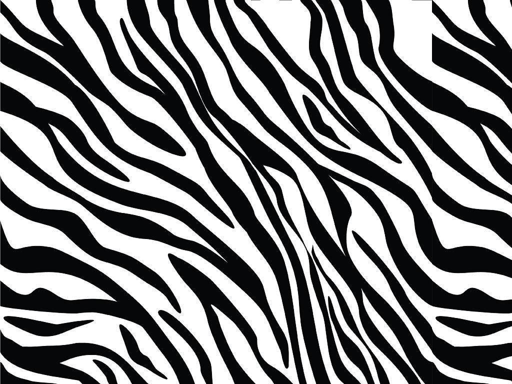 Rwraps™ Tiger Print Vinyl Wrap Film - White