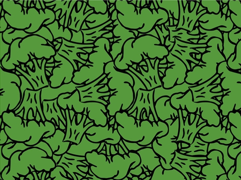 Rwraps™ Broccoli Vegetable Print Vinyl Wrap Film - Delicious Destiny