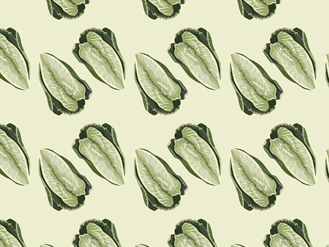 Rwraps™ Lettuce Vegetable Print Vinyl Wrap Film - All Season Romaine