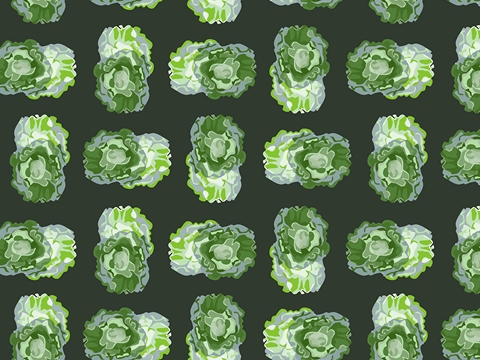 Rwraps™ Lettuce Vegetable Print Vinyl Wrap Film - Buttercrunch Butterhead