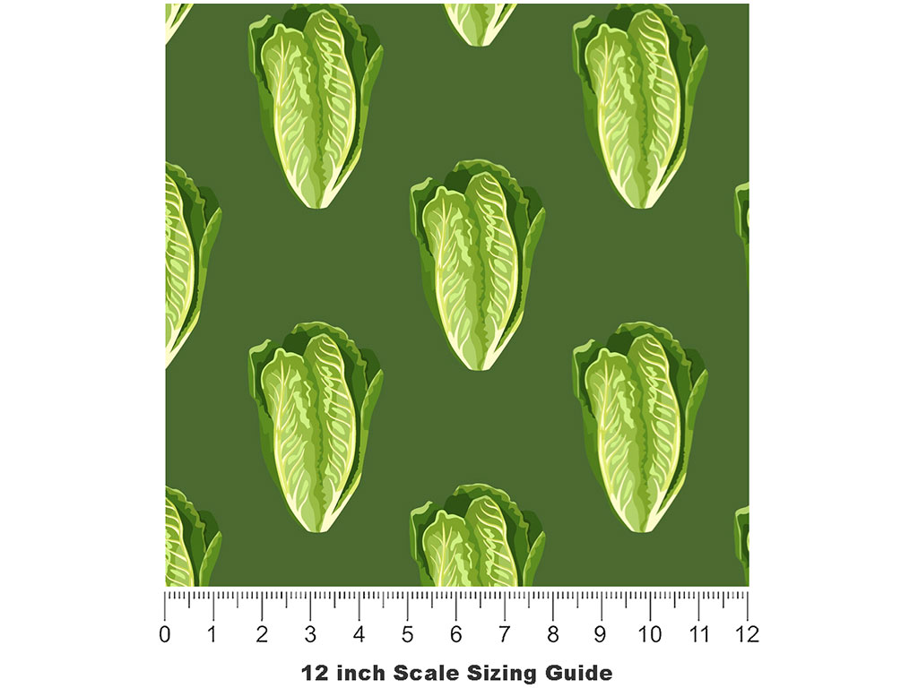 Little Gem Romaine Vegetable Vinyl Film Pattern Size 12 inch Scale