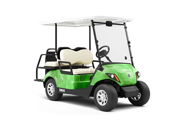 Give More Watercolor Wrapped Golf Cart