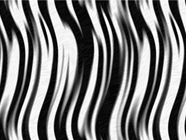 Borracha Zebra Vinyl Wrap Pattern
