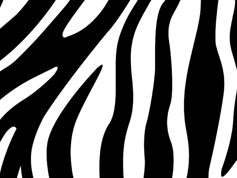 Rwraps™ Zebra Print Vinyl Wrap Film - White