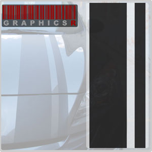 Racing Stripes - Cobra Style Graphic